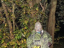 img_0419_web
